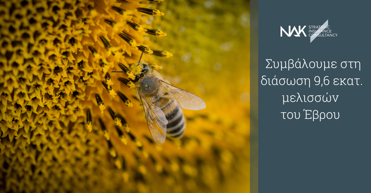 NAK Katsiberis contributes to the rescue of 9.6 million bees in Evros