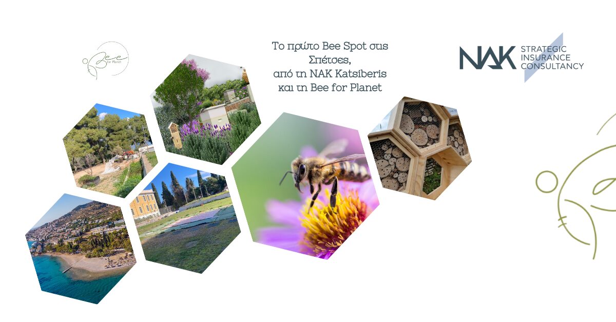 NAK Katsiberis supports the construction of the first bee spot in Spetses